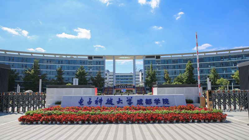 三极管与场效应管：揭秘电子世界的两种关键元件**